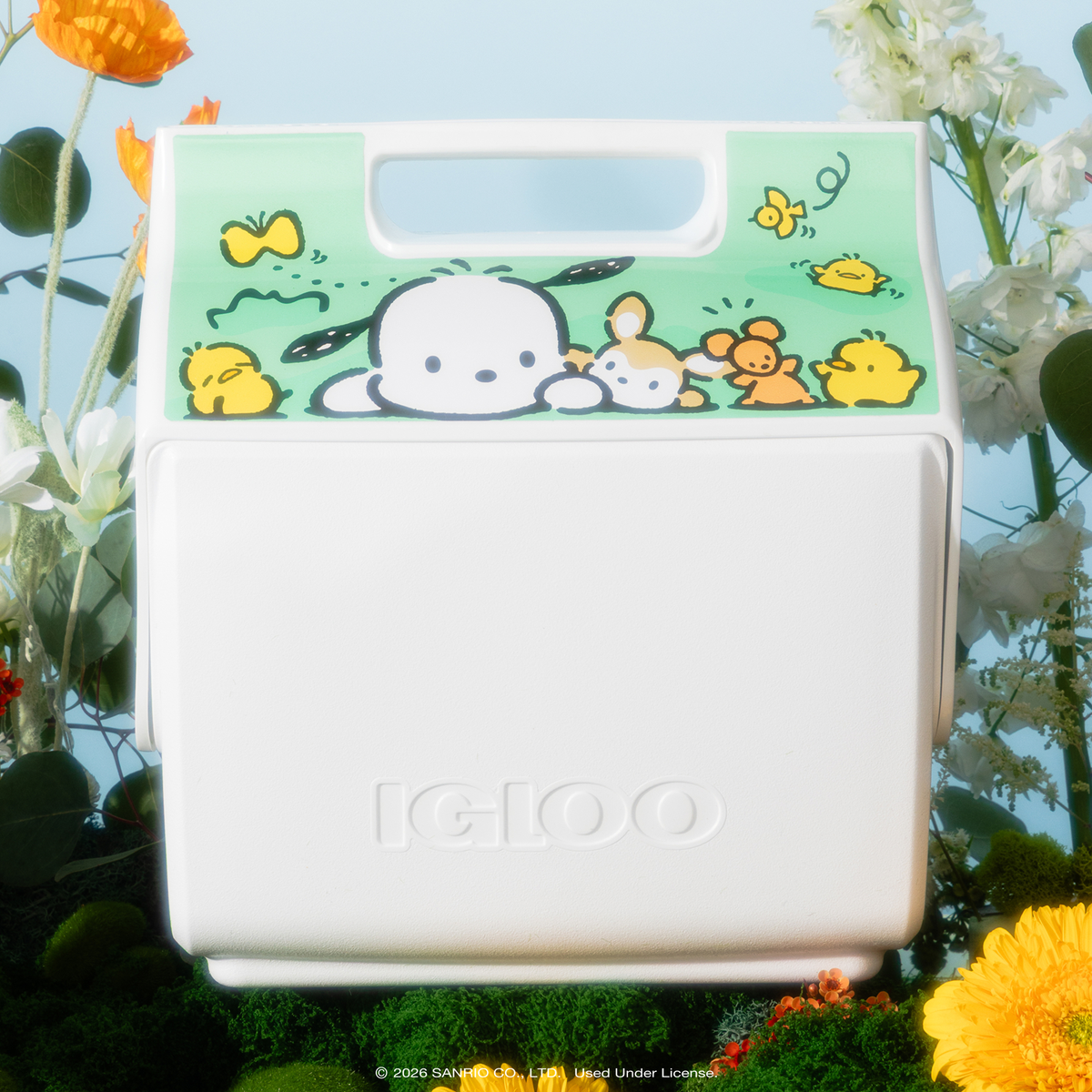 Pochacco Igloo Little Playmate 7 Quart Cooler